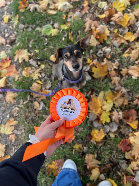 10- 01 - nosework 02